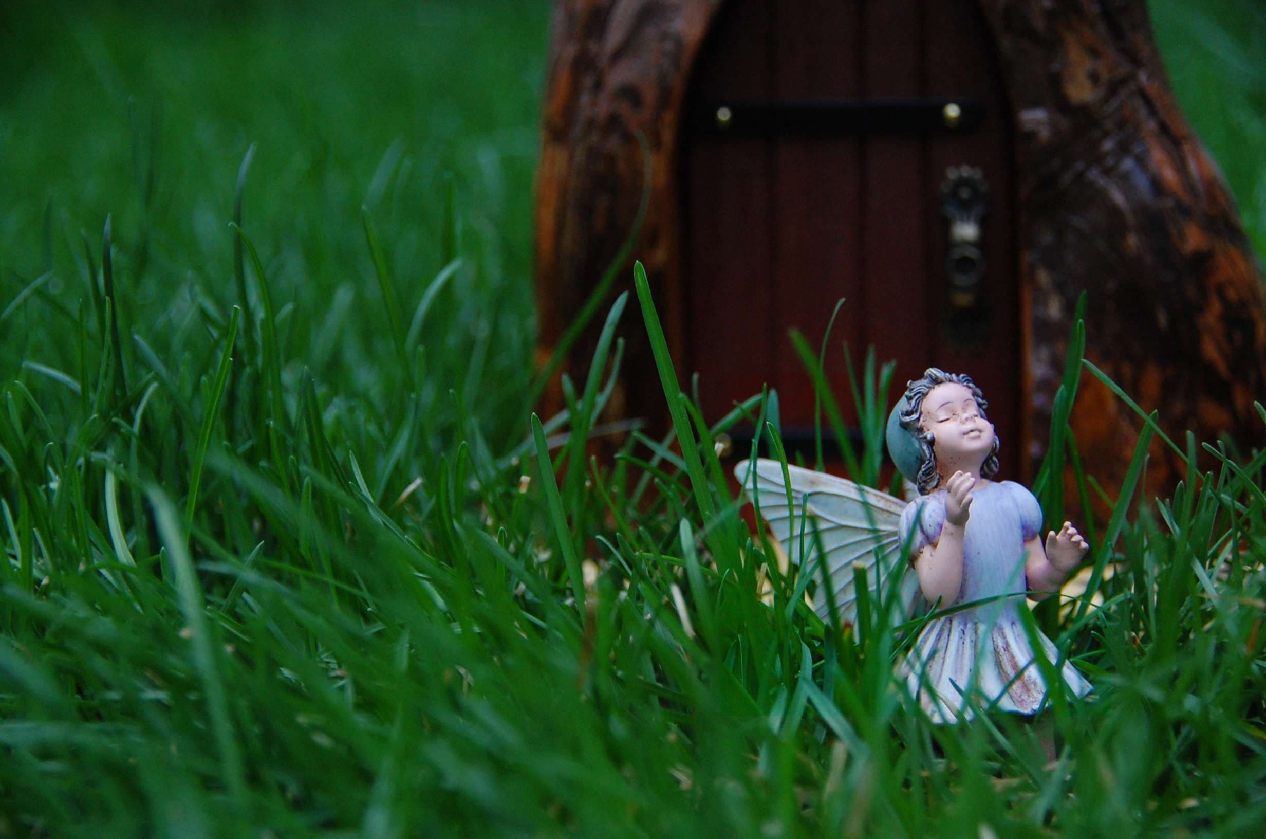 Концерт «органное фэнтези»