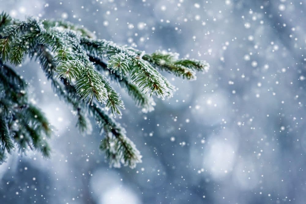 Спектакль «евгений онегин» в театре имени маяковского