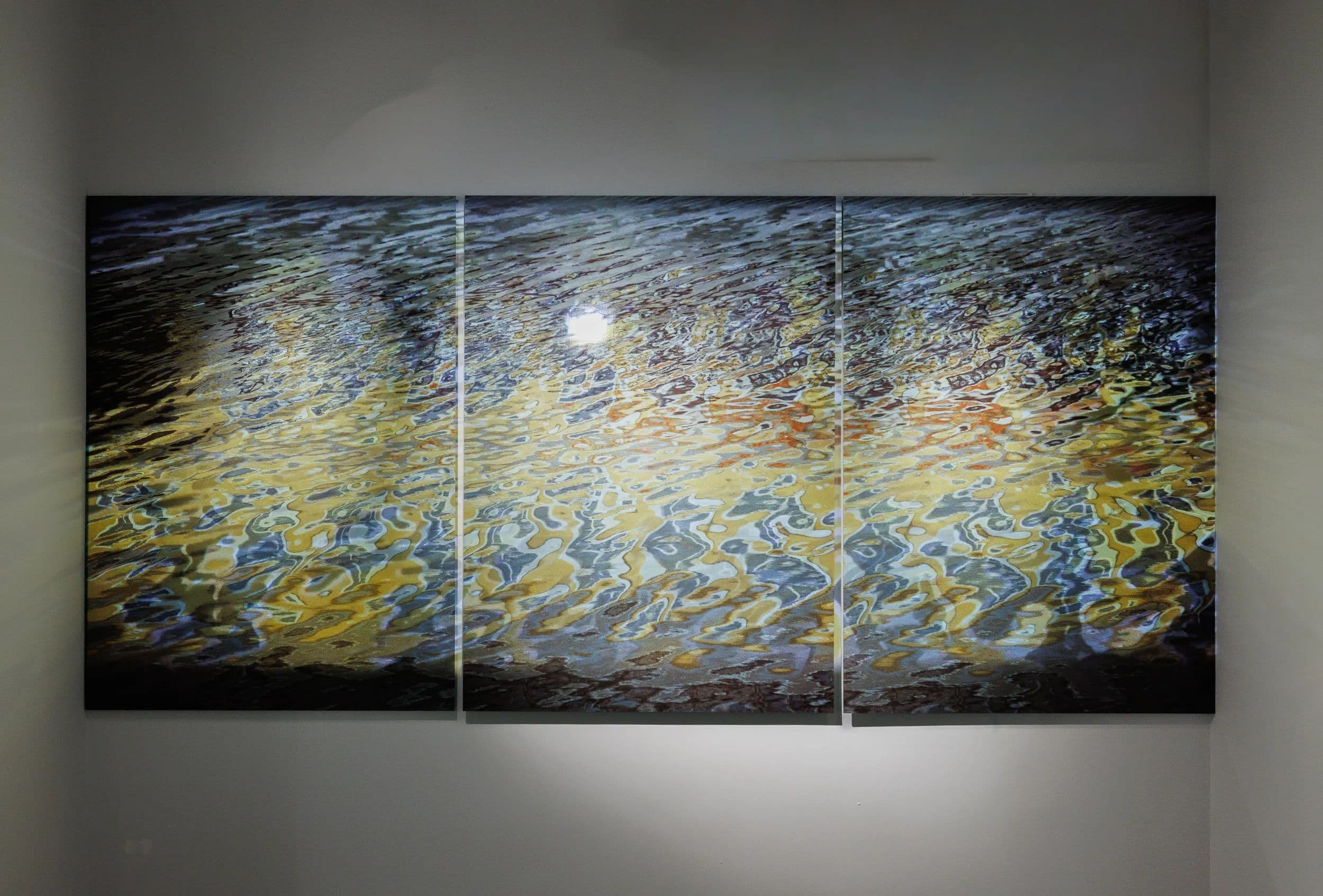 Выставка «принцип дополнительности»