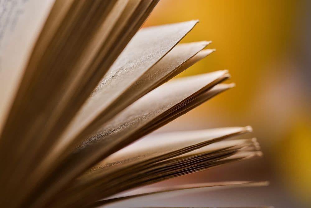 Лекция «русская философия. доклад ю.т. лисицы»