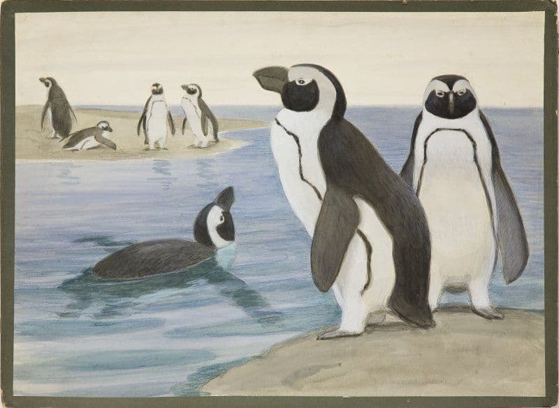 Выставка «пингвины»