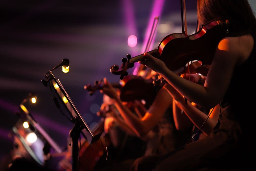 Концерт «волшебные миры миядзаки»