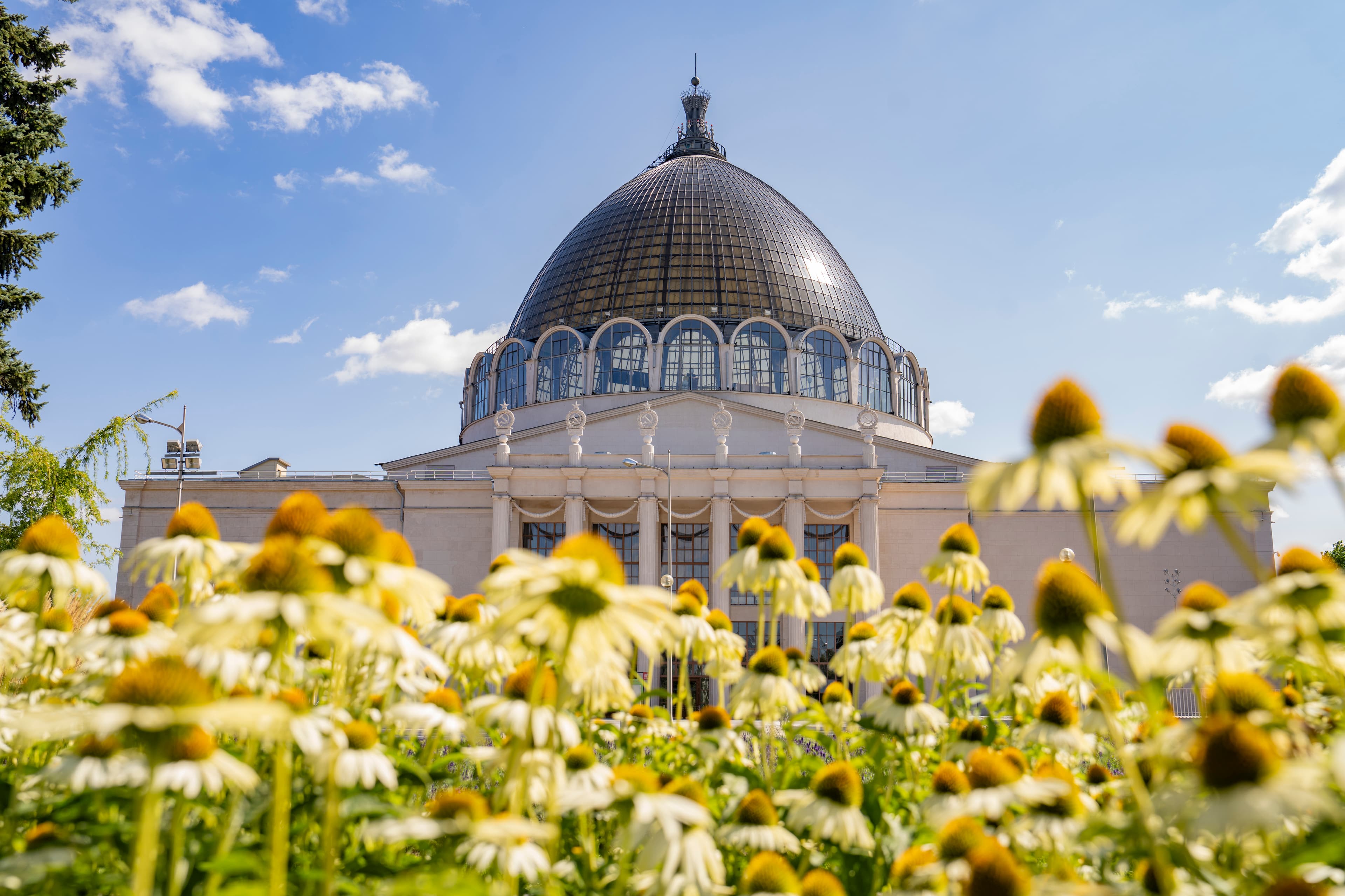Лекция «космическая диета для счастья: как еда на луне сделает нас здоровее, добрее и умнее»