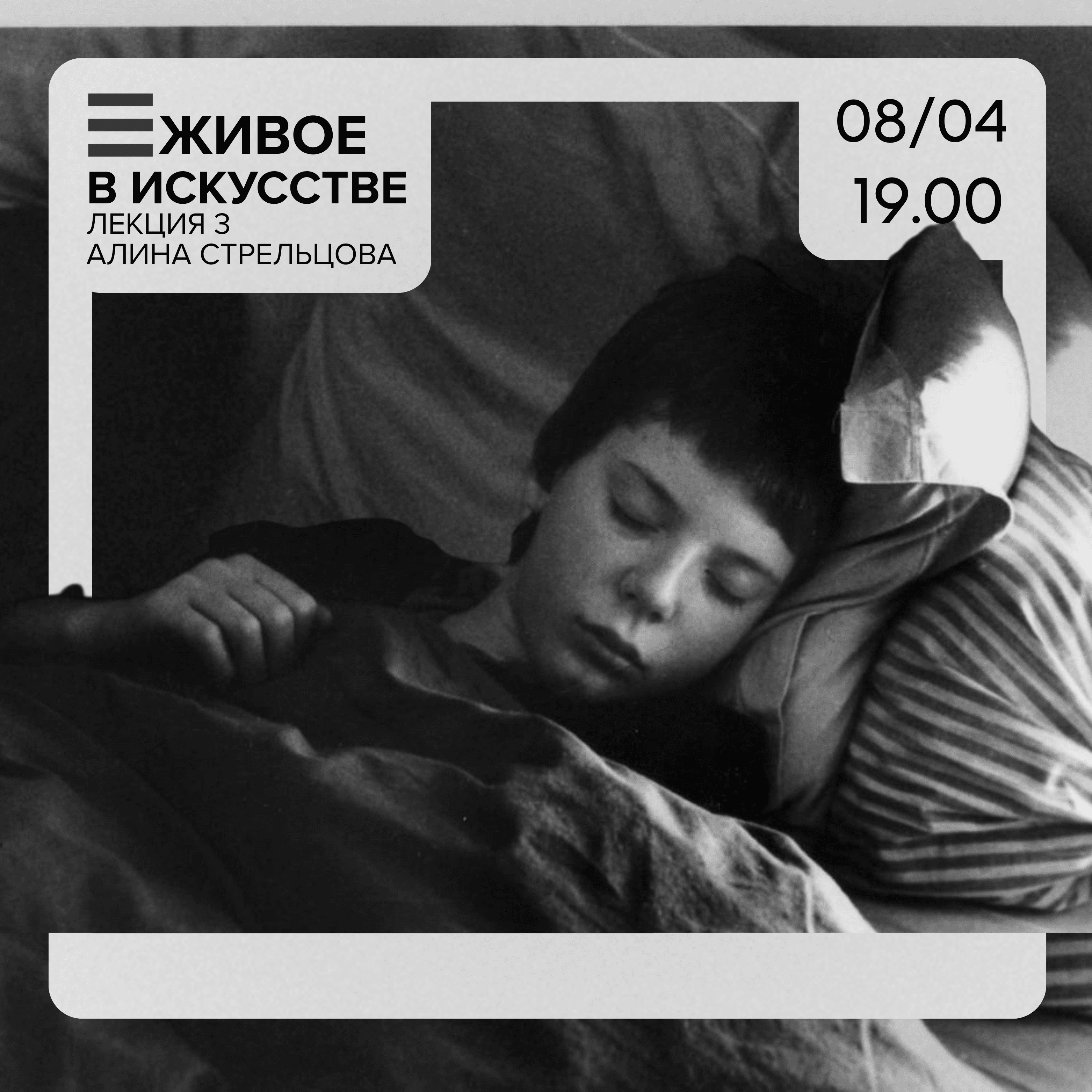 Прогулки и паломничества, деревья и собаки, встречи и расставания в современном искусстве франции