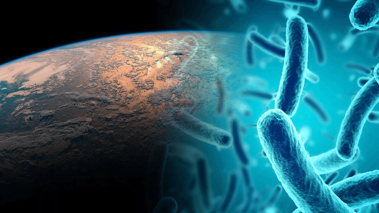 Мастер-класс "как выжить в космосе без скафандра?"