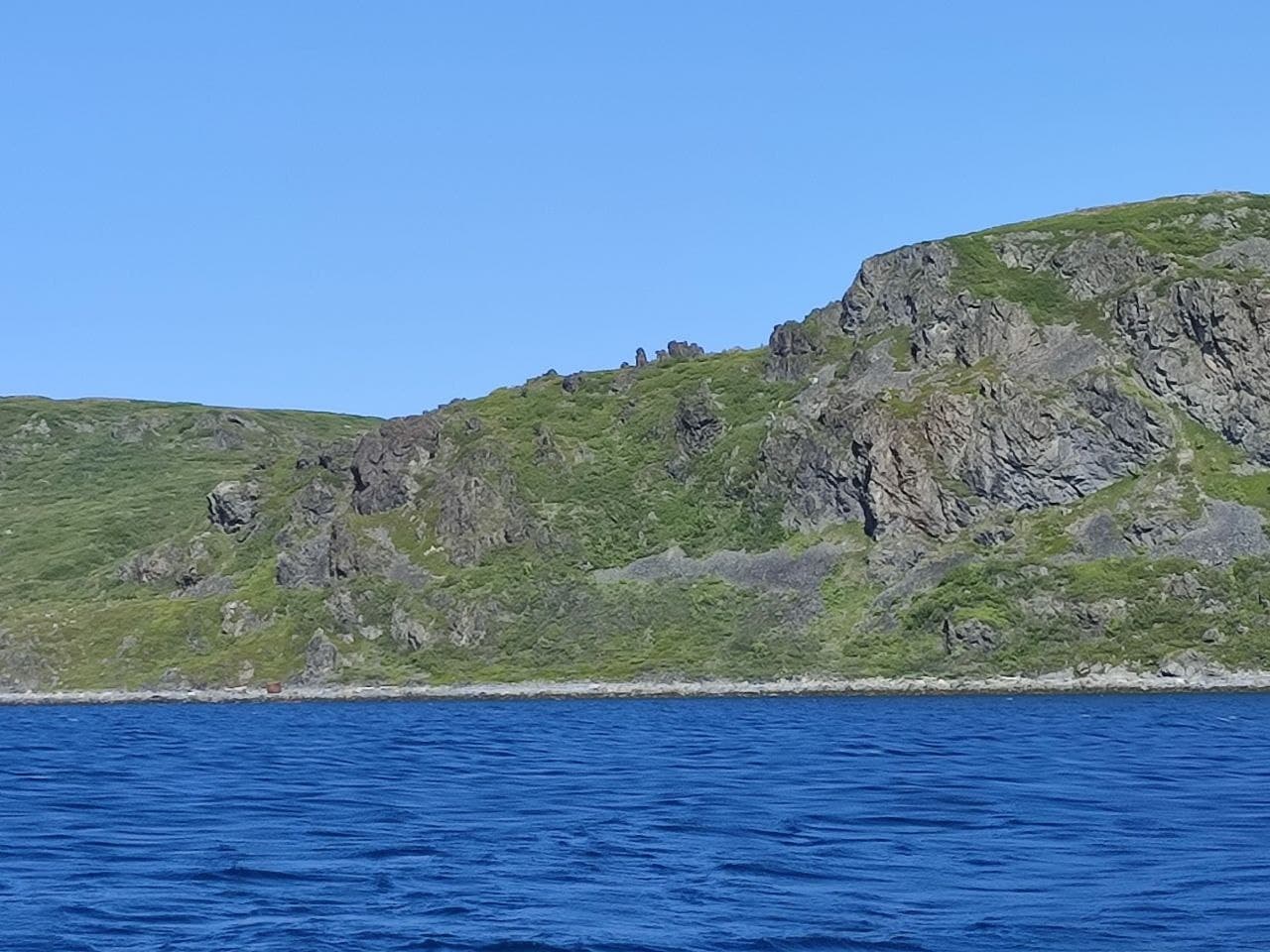 Лекция «где находится плавморнин? об исследованиях баренцева моря»