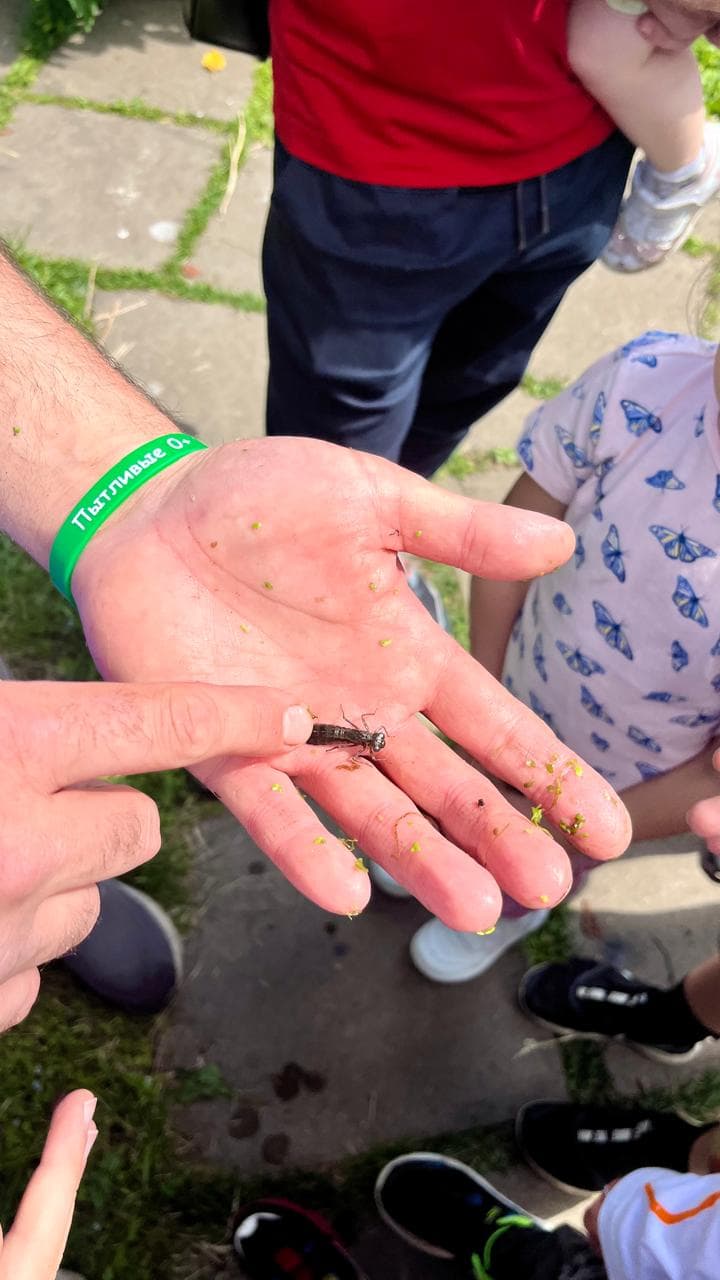 12 апреля в 14:00 "юный натуралист" - весенняя прогулка с биологом иваном зениным. 5+