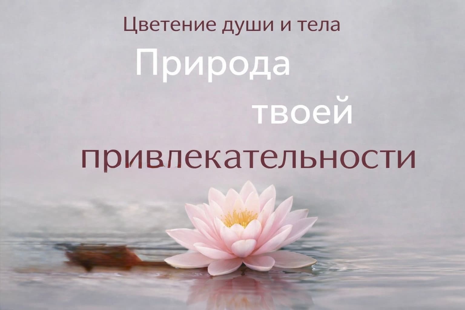 Мкл ""природа твоей привлекательности"