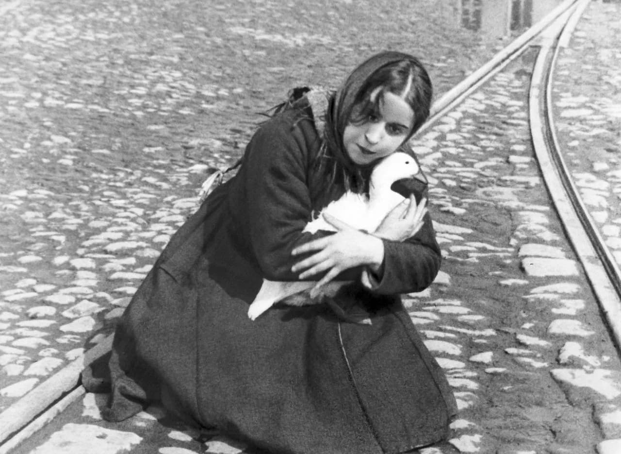 Кинопоказ фильма «дом на трубной»