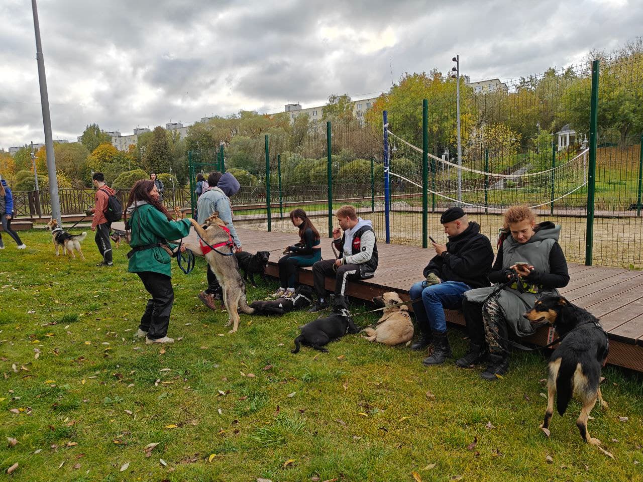 Хвостатый марш