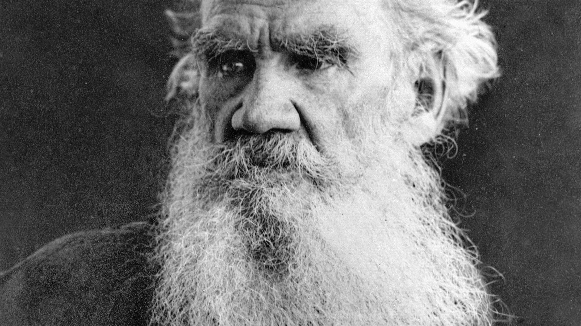 Книжный клуб в ахматовке: «война и мир», лев толстой