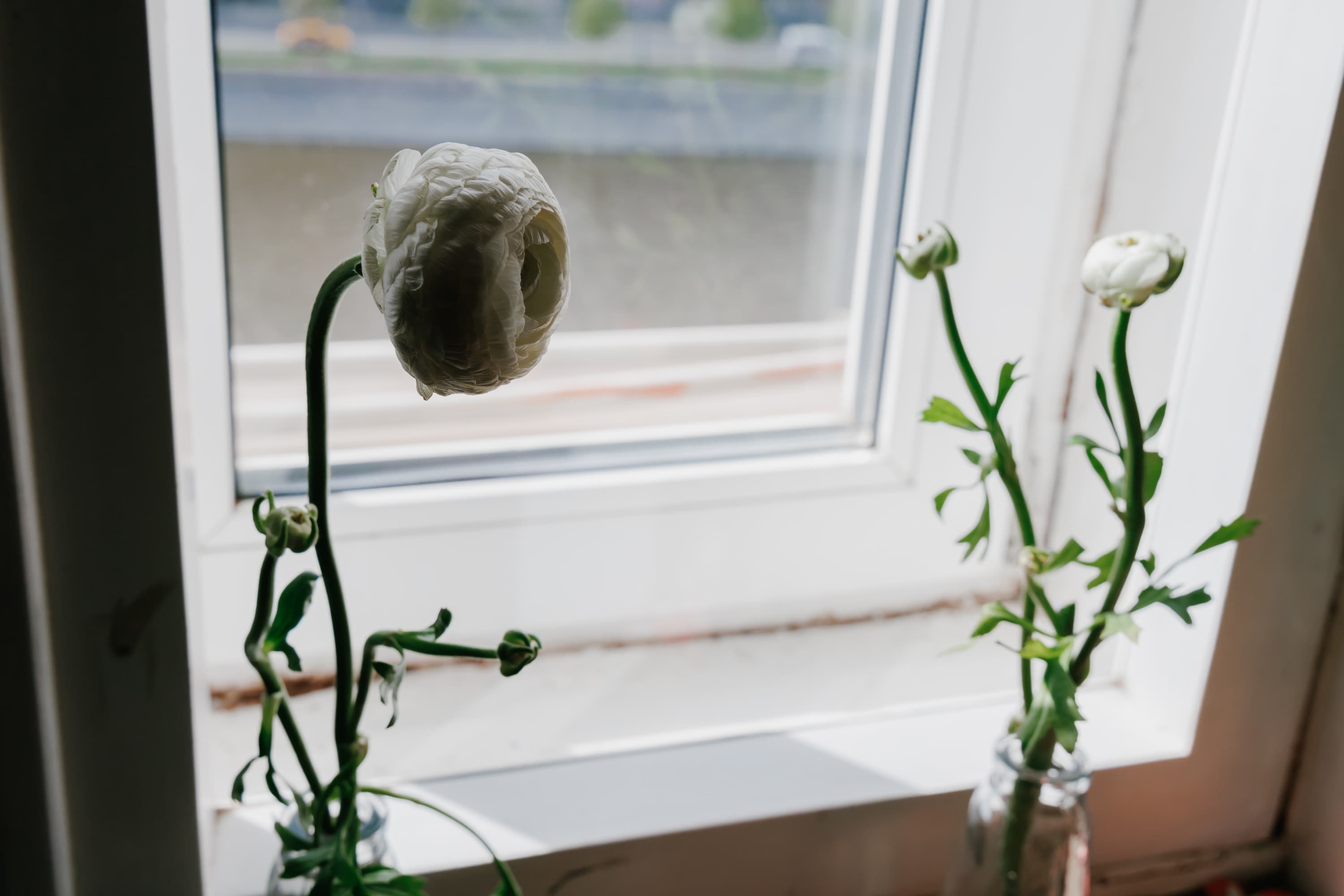 Вдохновение в трех измерениях: плисецкая, шанель, шаховская