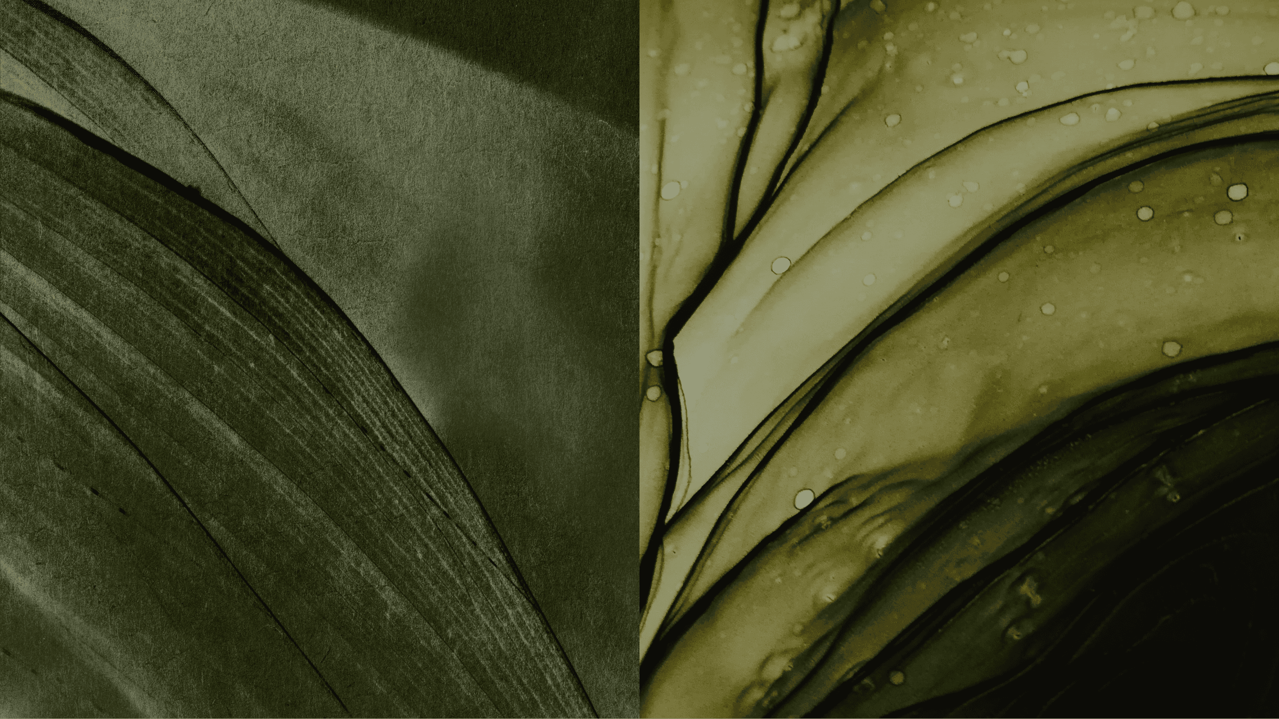 Качество жизни