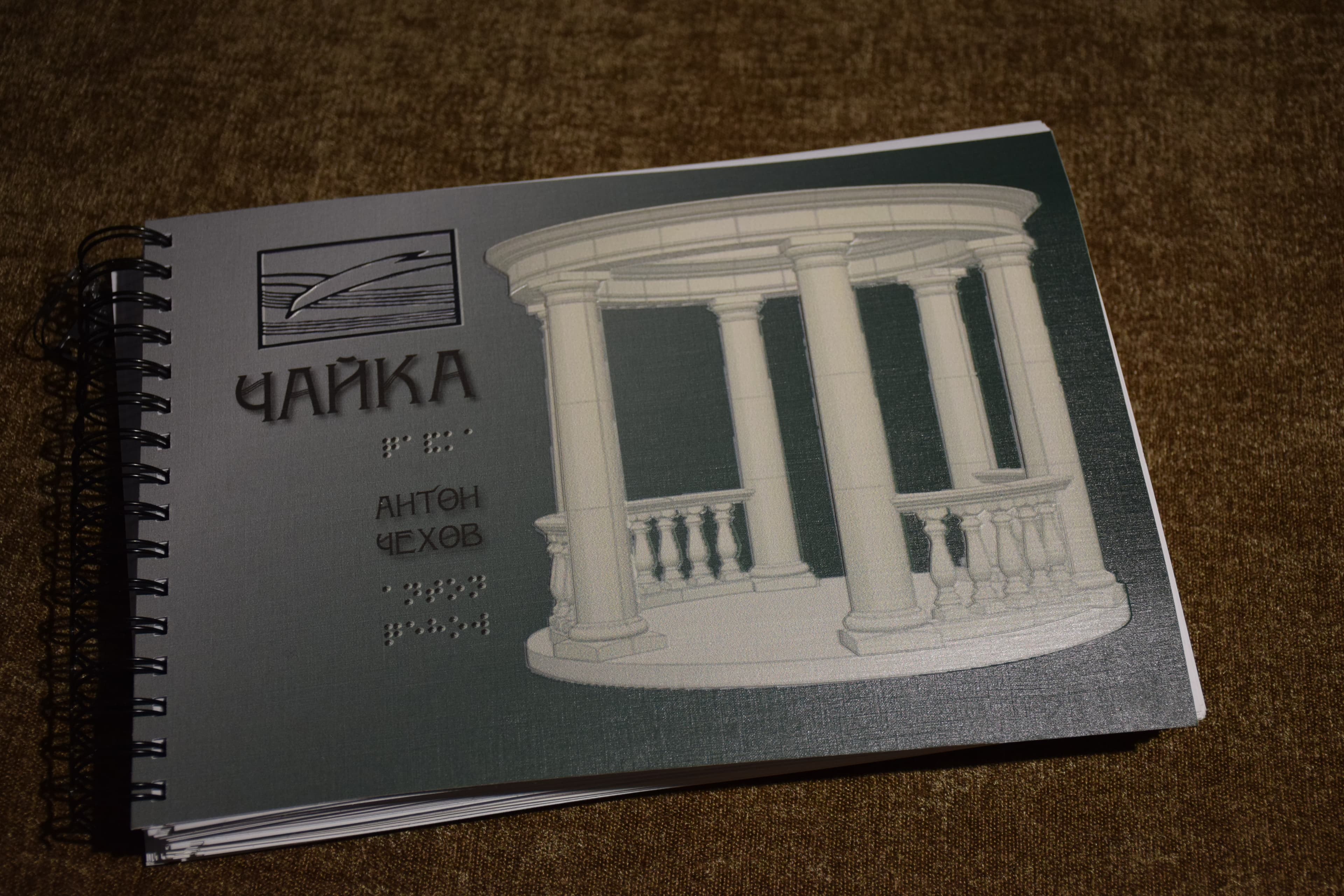 Презентация многоформатного альбома для слепых и слабовидящих «чайка».