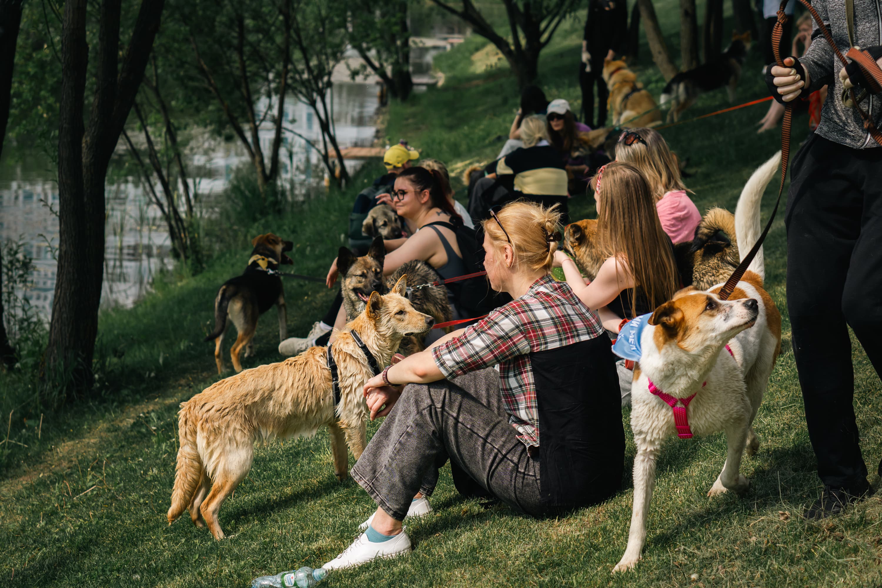 Хвостатый марш